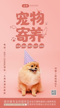 寵物攝影 為愛(ài)寵留住美好瞬間的專(zhuān)業(yè)服務(wù)
