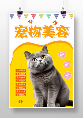 專(zhuān)業(yè)寵物服務(wù) 寵愛(ài)無(wú)限——限時(shí)促銷(xiāo)火熱開(kāi)啟