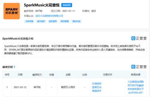 火花音悅獲數百萬種子輪融資，以數據處理服務為引擎，加速音樂版權市場布局